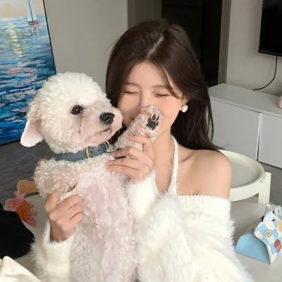 副总统第四季